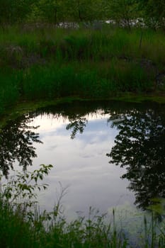 Cloudy skies reflecting in small pound set in grass