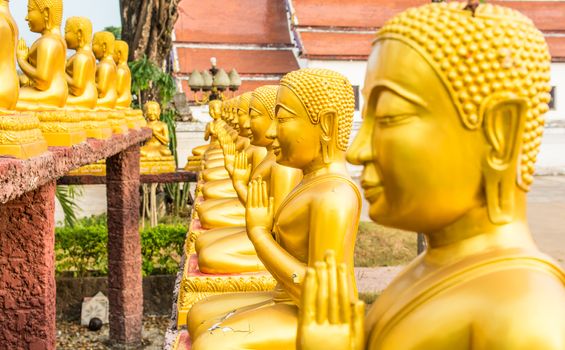 the line of buddhas in the Thai temple