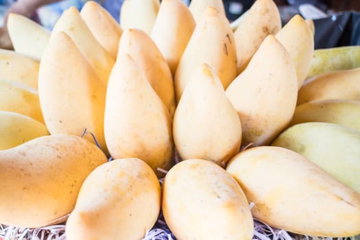 Group of sweet ripe mangoes, stock photo