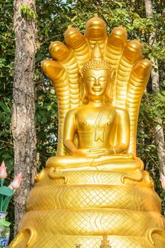 the gold buddha statue at the temple in Thailand