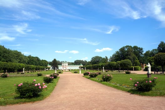 The road to the palace lined with blooming peony  (Kuskovo Estate near Moscow)