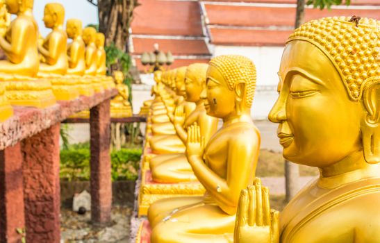 the buddhas in the line at Thai temple