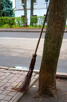  Broom made of twigs leaning against a tree trunk                              