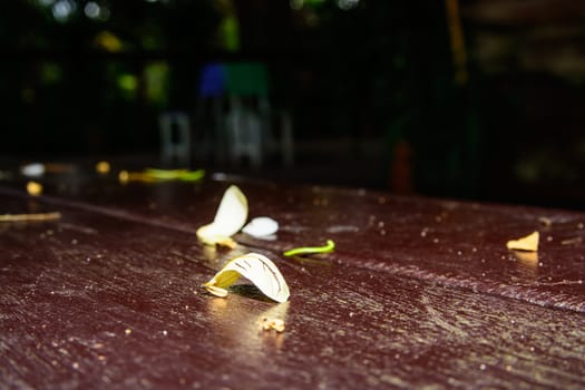 the falling petal on the table top. The white petal on the table.