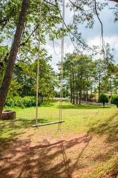 the wood swing in the national green park