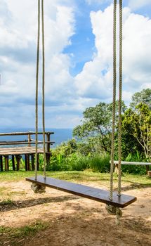 A swing is hanging in the national park on the sunny day