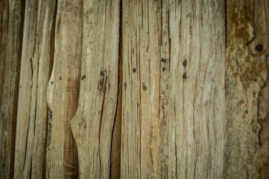 Timber wall of the public toilet in the national park