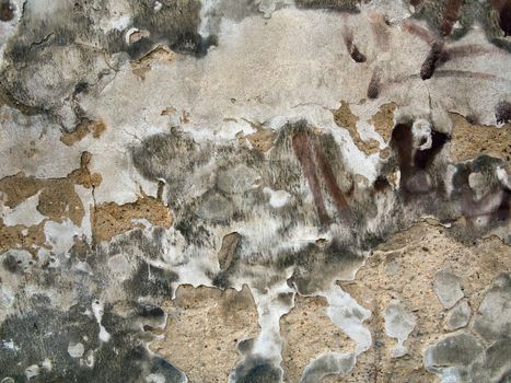 texture of the old and damaged stucco - plaster