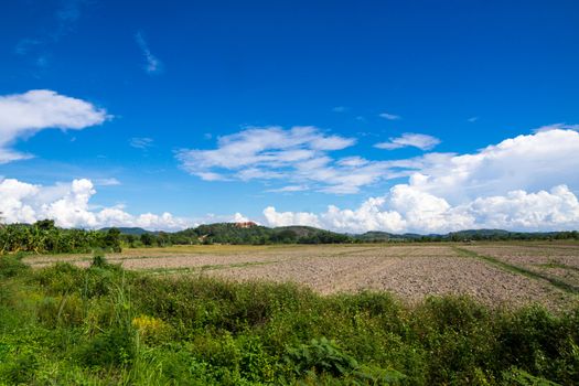 nature scene of rural area in Chiangrai,Thailand