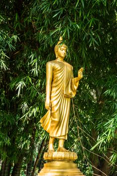 golden Buddha image  in the forest,Chiangrai,Thailand