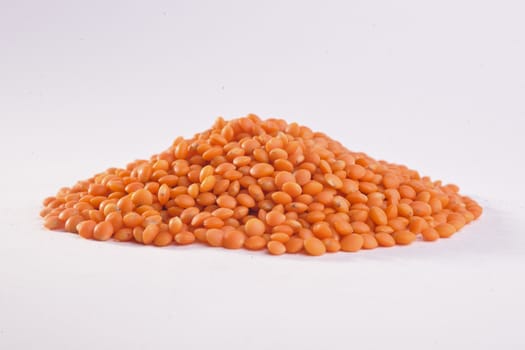 Lentil