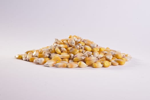 A close up shot of a pile of feed corn.