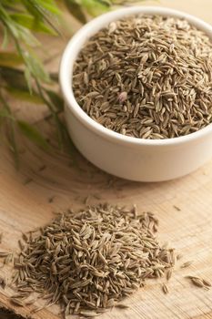 Fennel Seed Spice 