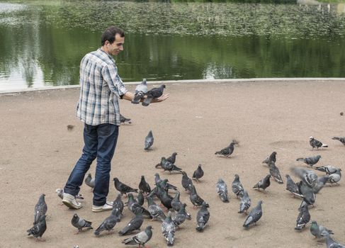 The man feeds pigeons in park in Sankt Petersburg, Russia.
