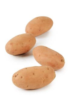 Potato close up isolated on white background