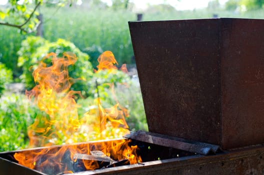 The flames in the grill on vacation in the country