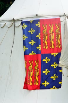Medieval Heraldic flag