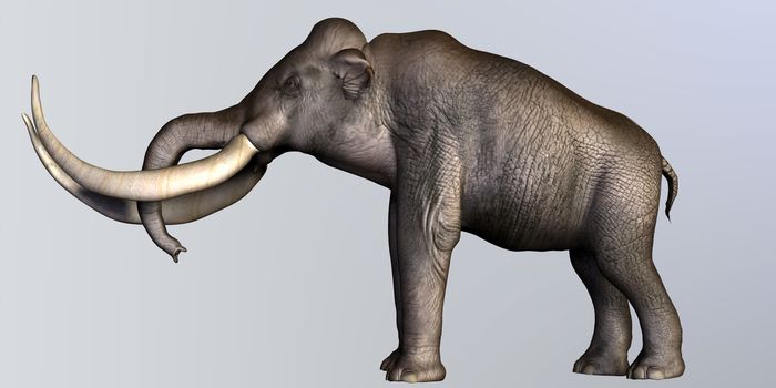 The Columbian Mammoth lived during the Quaternary Period of North and Middle America.