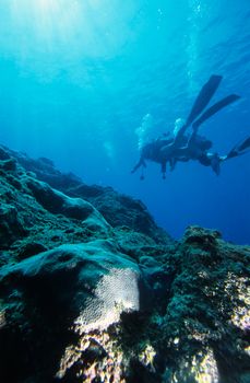 Two divers exploring a coral reef