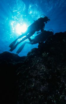 Scuba divers on a coral Reef