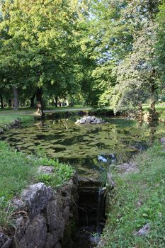 Small pond with water lily in the park