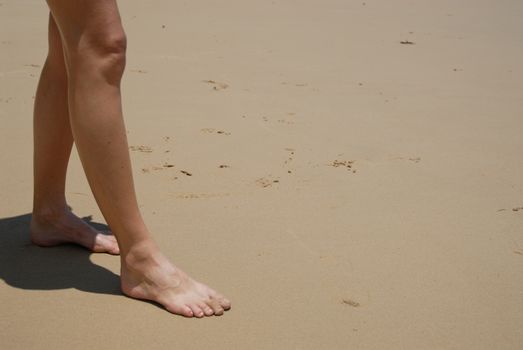 Stock photo of beautiful tall brunette woman on the beach in the tropics