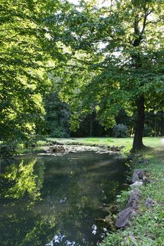 Small pond with water lily in the park