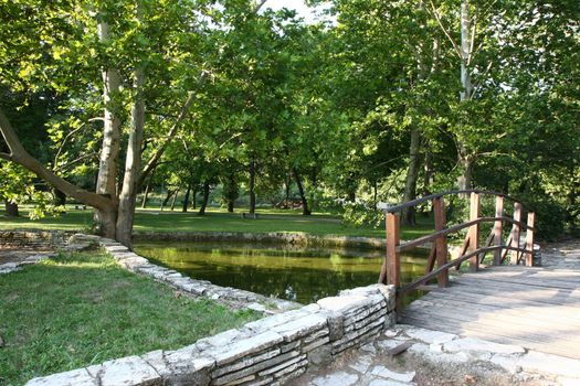 Smalle bridge over pond in the city park