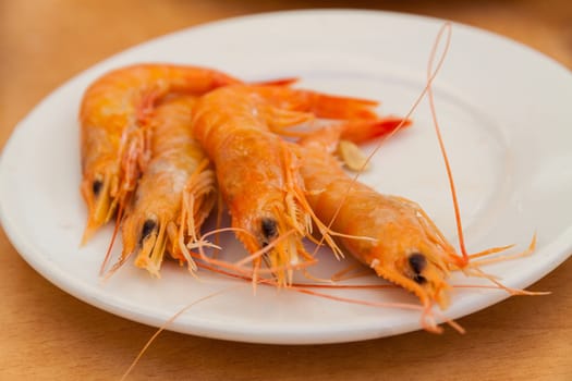 Close up of boiled shrimps on white plate. Low Depth of Field