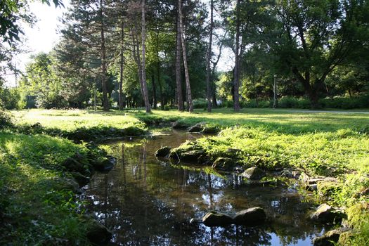 Small creek in the city park