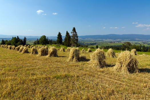 field with some bundles of hay on blue sky background