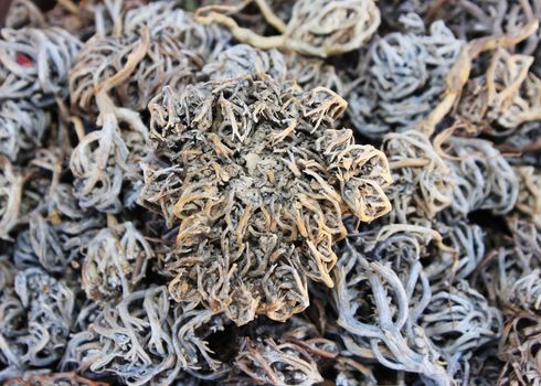 Spices and herbs on oriental market 
