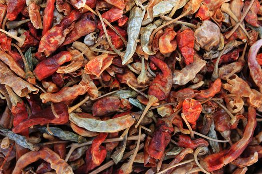 Red hot dry chili pepper pattern