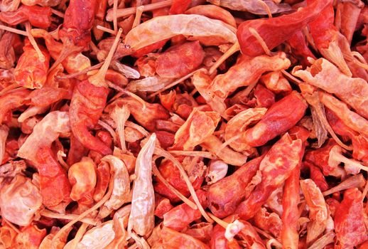 Red hot dry chili pepper pattern