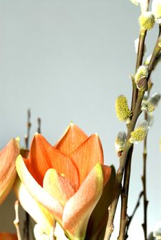 Flower arrangement