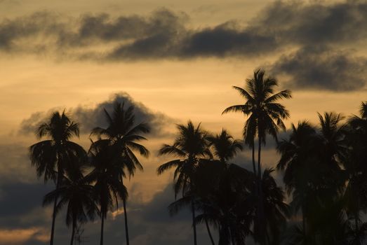 An evening sunset on the island of Mabul, Sabah, Borneo