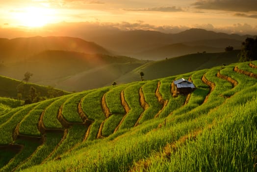 landscape of Rice Terraces with sunset backdrop