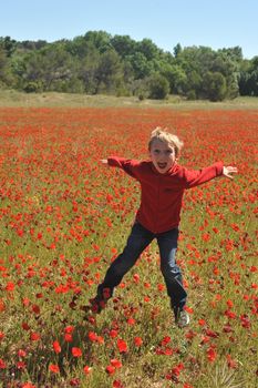 Poppy Field In Spring