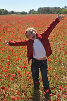 Poppy Field In Spring