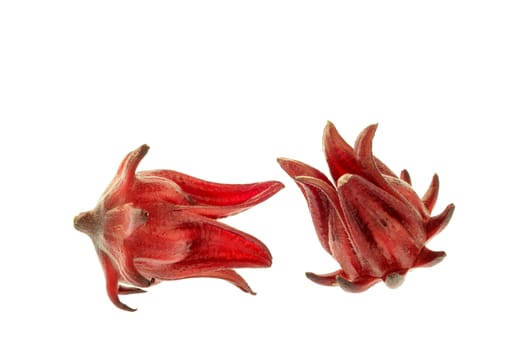 Roselle isolated on the white background