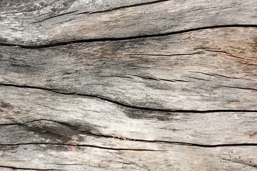 Dirty old wooden background