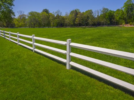 White fence and green grass on blue sky