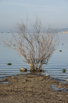 Lake Bafa Nature Park in Turkey, near Aegean Sea. Ancient Greek city Heraclea ruins can be seen all around the lake. 