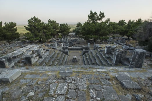 Columns of Priene