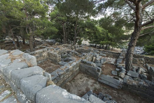 Columns of Priene