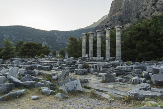 Columns of Priene