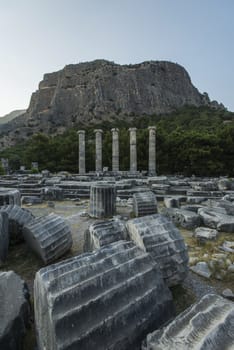 Columns of Priene