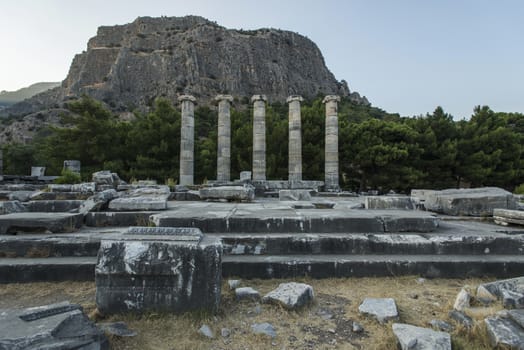 Columns of Priene