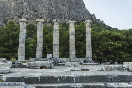 Columns of Priene