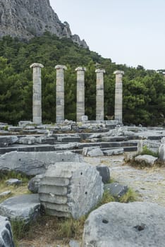 Columns of Priene